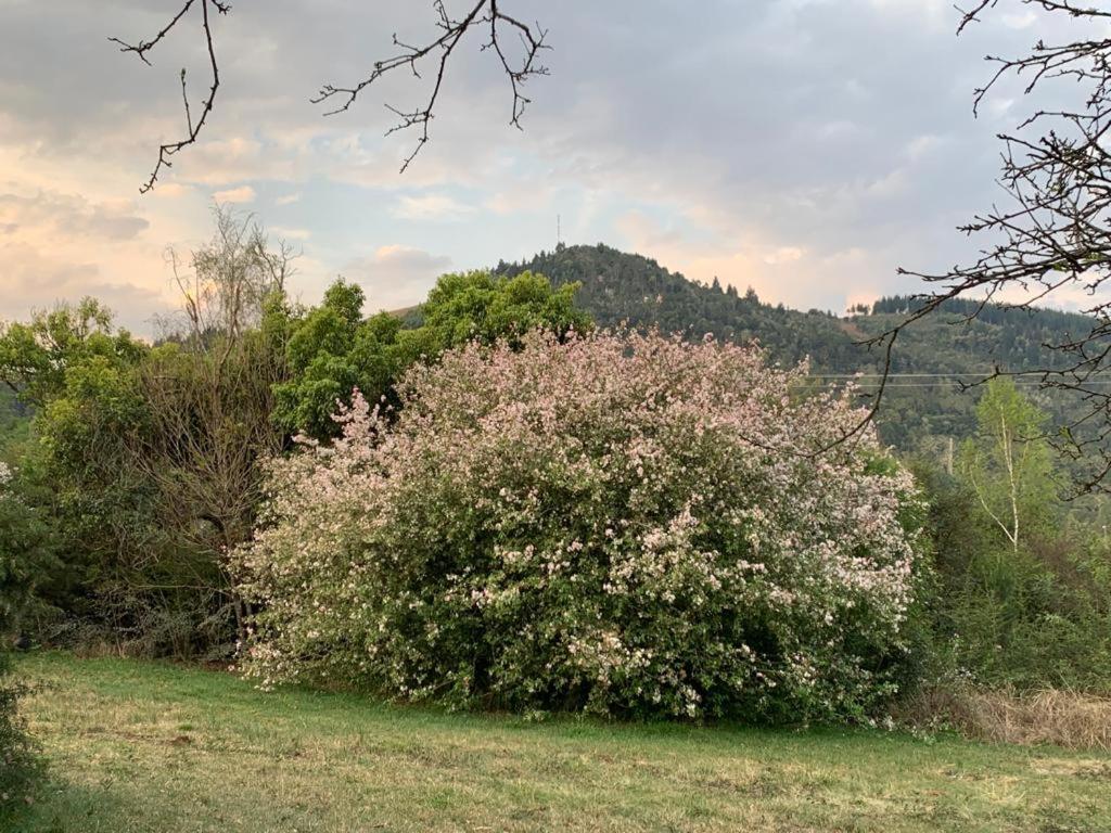 Willa Laragh-On-Hogsback Zewnętrze zdjęcie
